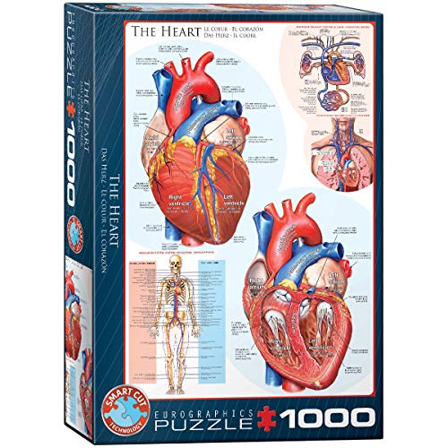 EuroGraphics Human Body Heart 퍼즐 1000-Piece Blue