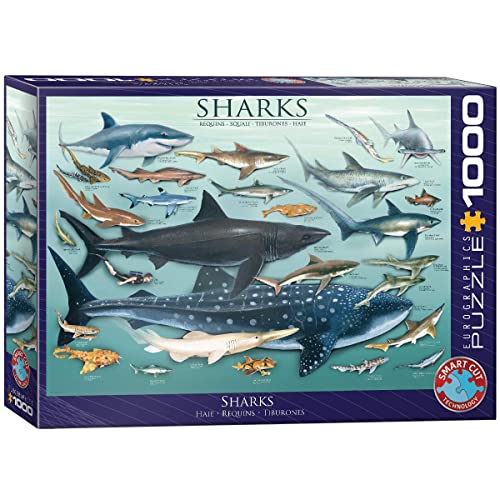 EuroGraphics Sharks 1000 피스 퍼즐 Blue