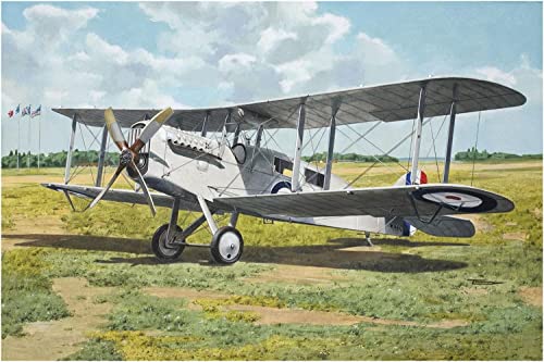 로덴 1/48 영국 공군 하비랜드 DH.4a 단발 복엽형 여객기 1920년대 프라모델 RE48431 성형색