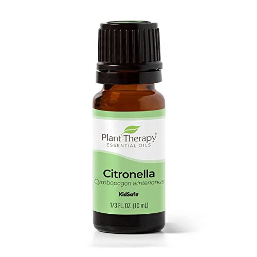 플랜트 테라피 시트로넬라 에센셜 오일 10ml