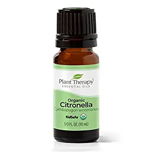 플랜트 테라피 시트로넬라 유기농 에센셜 오일 천연 아로마 테라피 10ml