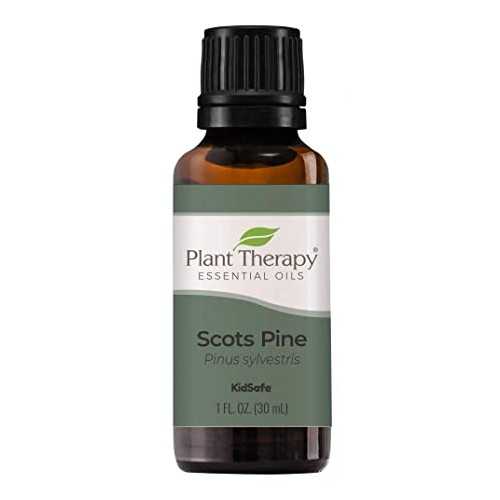 플랜트 테라피 스코틀랜드 파인 에센셜 오일 30ml