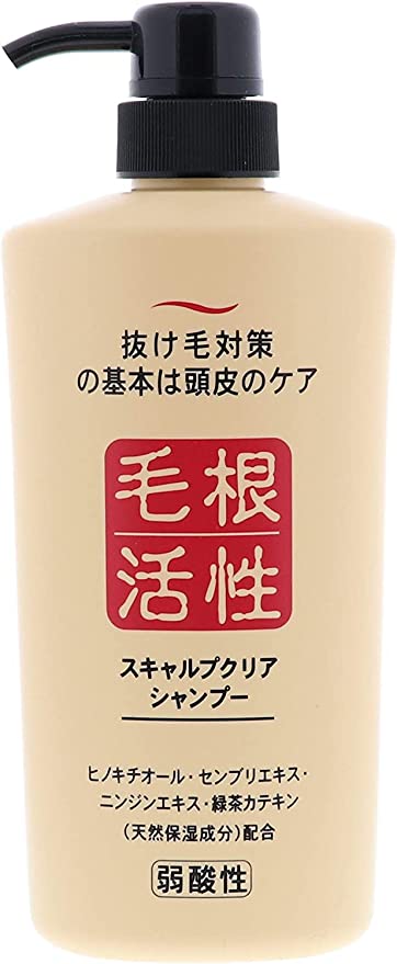 스칼프 클리어 샴푸 550ml