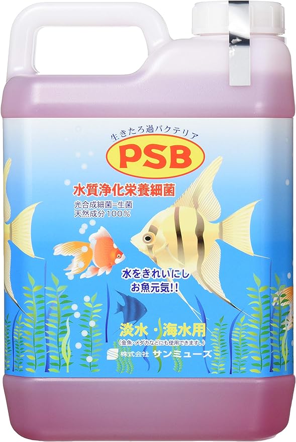 산뮤즈 PSB 2.1L
