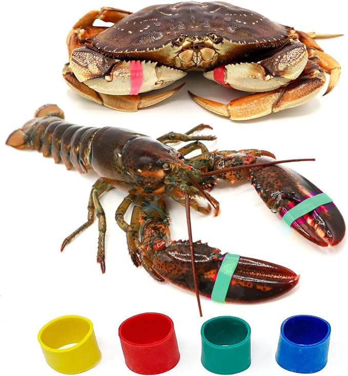 AirFly Crab, Lobster Claw Rubber Bands, Protect Lobsters & Crabs, Cook Safe FDA-Compliant Silicone, Made in USA, 600 pcs