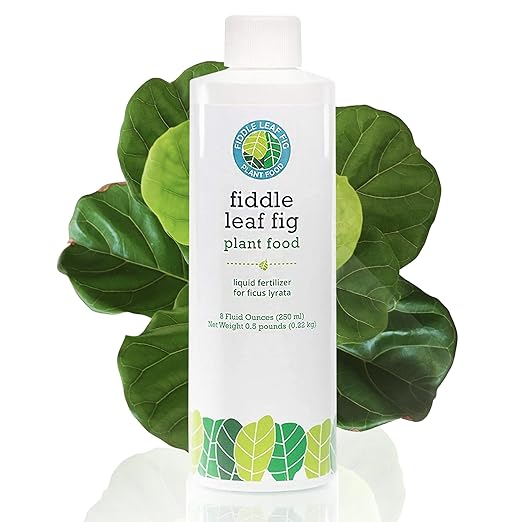 Fiddle Leaf Fig Tree Plant Food for Ficus Lyrata (and Audrey) - Organic, Enriched with Calcium, Urea-Free, and Featuring an NPK Ratio of 3-1-2 to Promote Robust Roots, Stems & Leaves (8 Ounces)