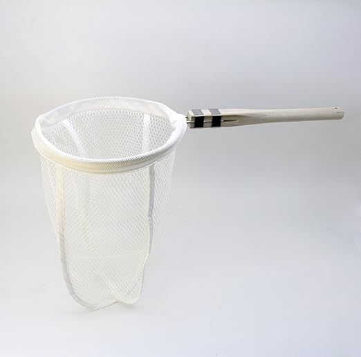 일본제 사누키 타모 중 Φ30cm